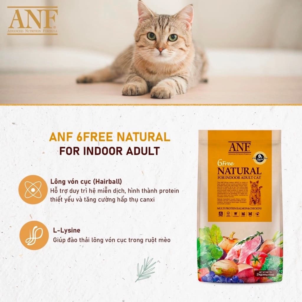 Menueditor Item 139644bd59d2430c9219646acc29c17d 1726545842312763789