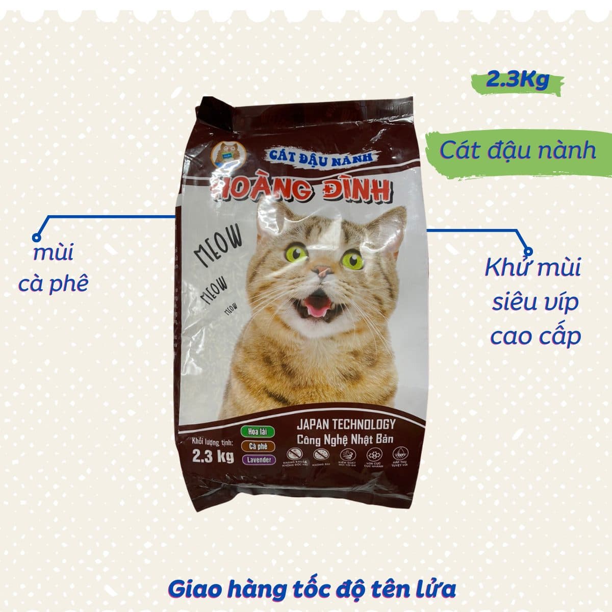 Cat Dau Nanh Cafe Hoang Dinh