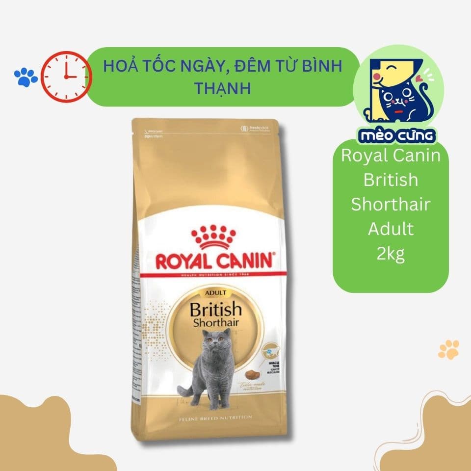 Hạt cho mèo Royal Canin - đầy đủ dinh dưỡng, tăng cường sức khoẻ