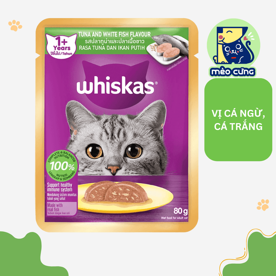 Cá ngừ & cá trắng