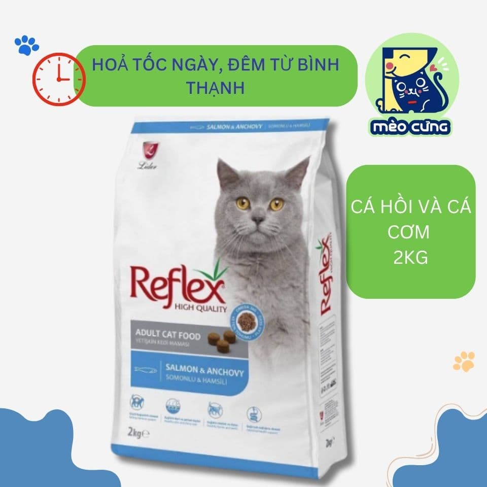 Cá Hồi & Cơm (mèo thiến)