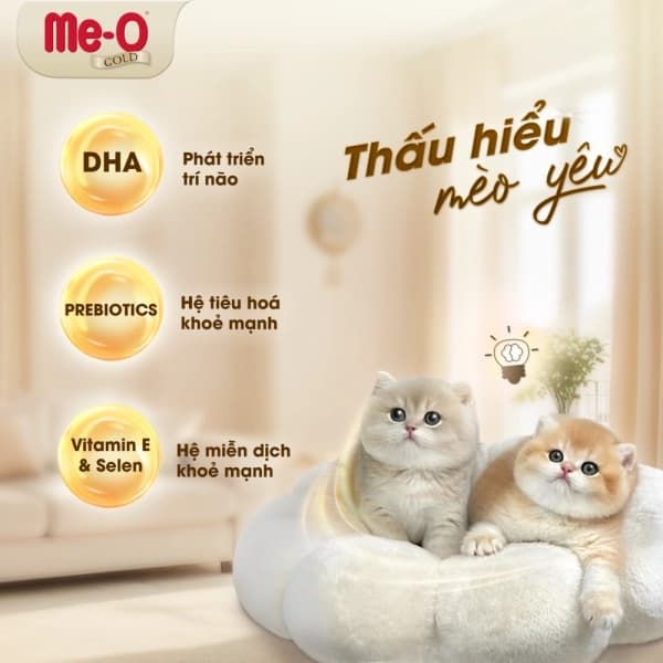 Menueditor Item E313d5d6b72c492fa81bec9e2e2e5247 1751464588272693653