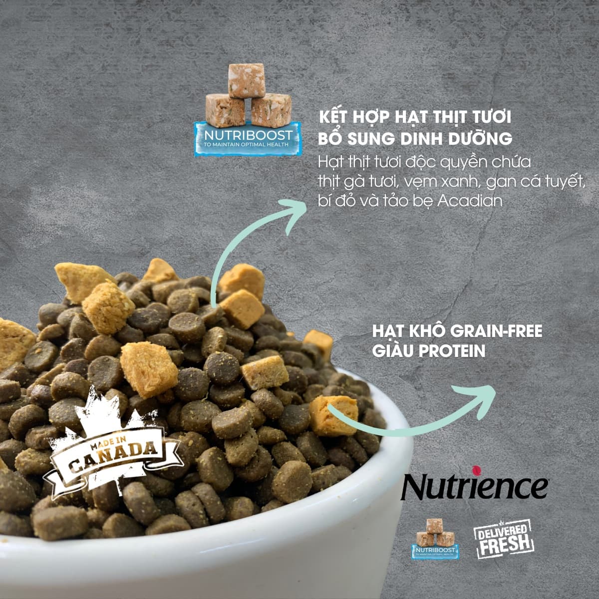 45 902f0df0ce884bbd86a37e3b5e129bf1 Master